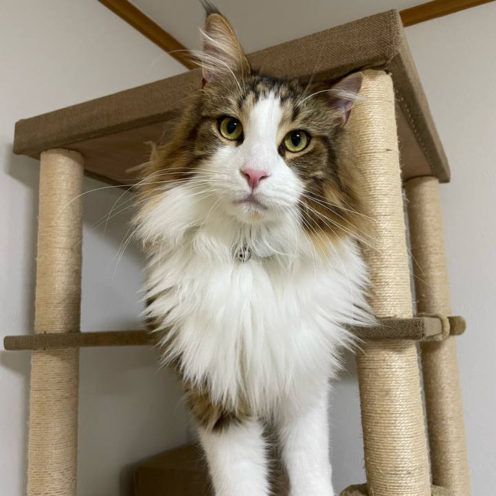 A288c0d6 8147 41a6 a663 35a58261b316 1668195380485