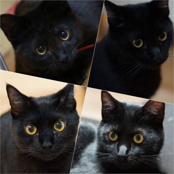 A288e9c0 3a8a 4ae3 ac66 43cffcc6d923 1526008349426