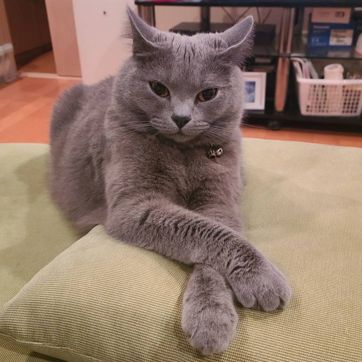 A28944e7 e916 4074 b192 c79fcf306ae8 1626584673599