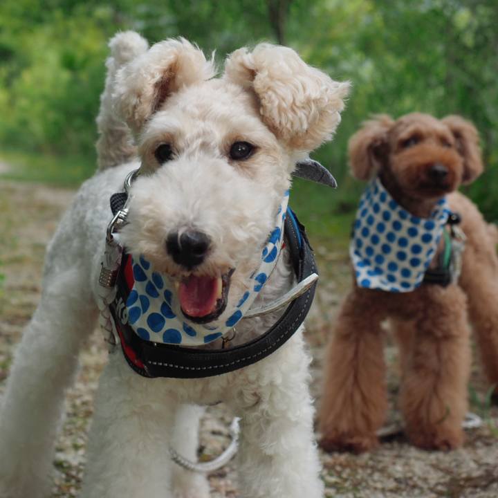 A2899654 2f54 435c b8e7 234259e2b7de 1565485349002