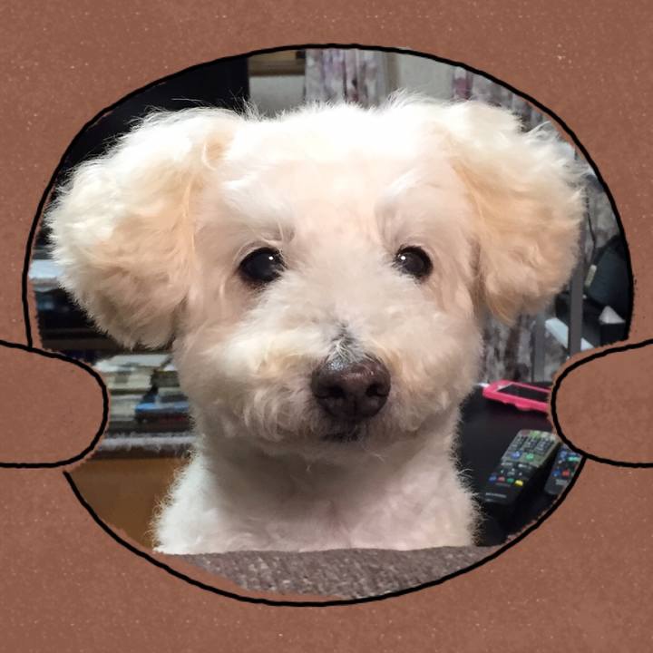 A289a485 1be7 4193 8259 80cb2a74b6c3 1507996615463