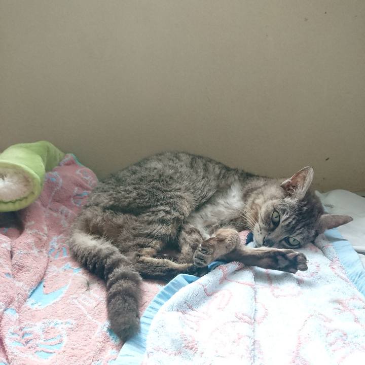 A289b7fb d7c5 41cc b3fa d469e01e5e8a 1596595442745