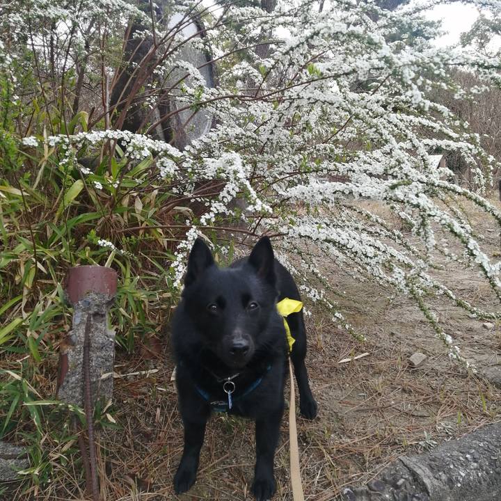 A289c36d 8824 4995 b5e9 efd3031280d6 1647821896224