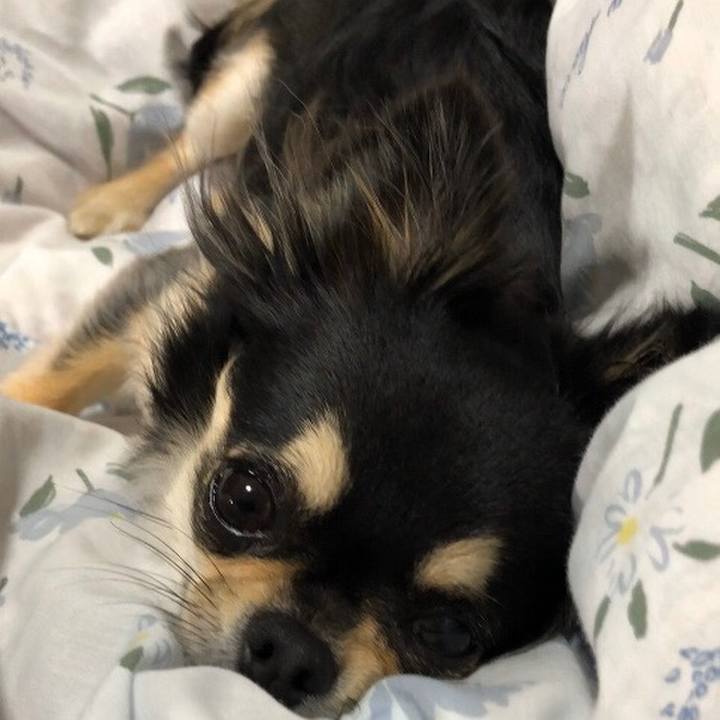 A289ca90 61a3 405a 842f ec80b1387667 1579128869923