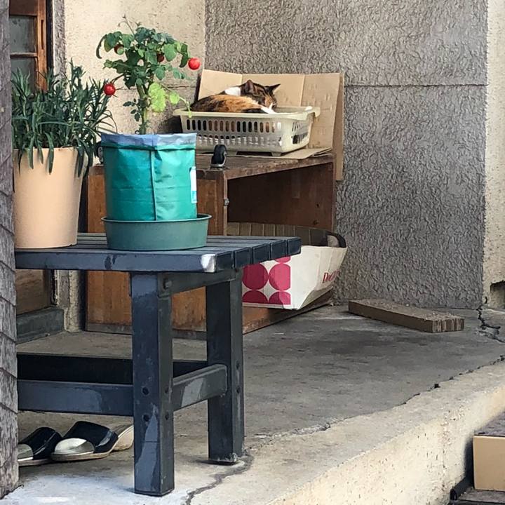 A289e536 5023 404a bf4c 9978537ea0a5 1536146448426