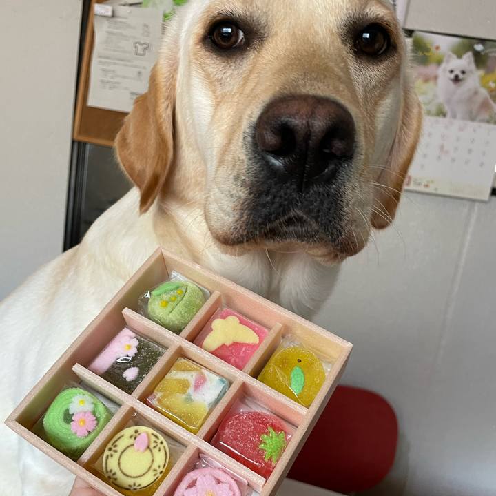 A28a1548 9c9d 4156 85de 3f36361370ac 1652879763835