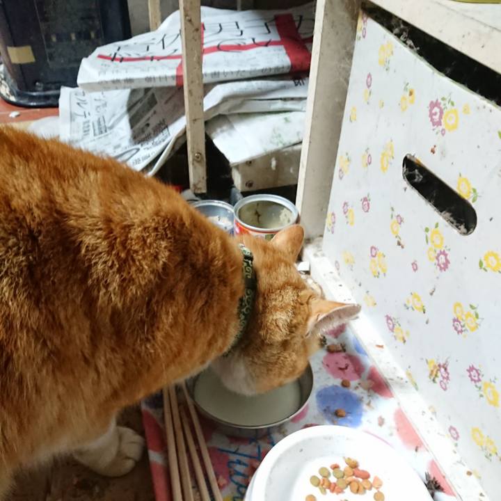 A28a50ec 1def 460c ba18 5c7993564b27 1585084903488