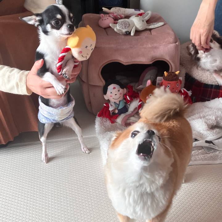 A28a63d2 6190 48e6 9743 58ddf7895f88 1766260431301