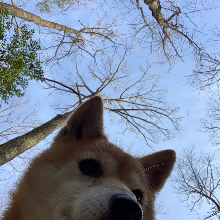 A28a692a 137e 4d31 bb95 a0094361be92 1582384649746