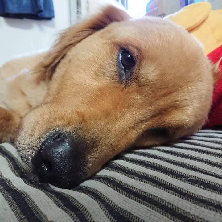 A28a7d57 d878 4e29 a1e0 e1d32849cd21 1535455950202