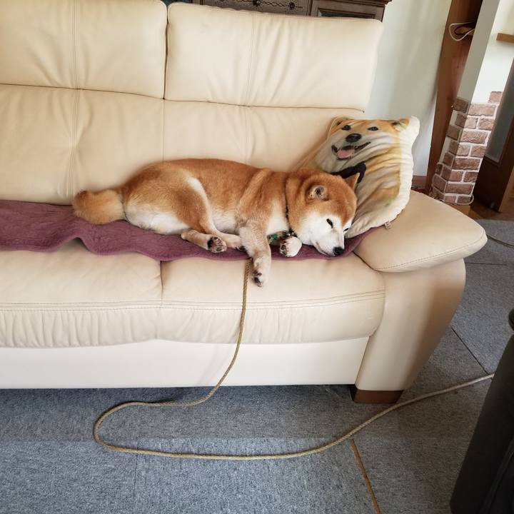 A28ac551 59dd 4720 8018 d69a36524f75 1623982687750