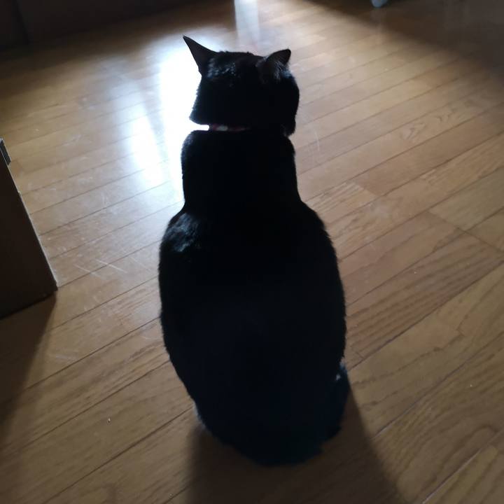 A28ade6f 2774 4a68 a5a7 a124bca033b2 1580533254028