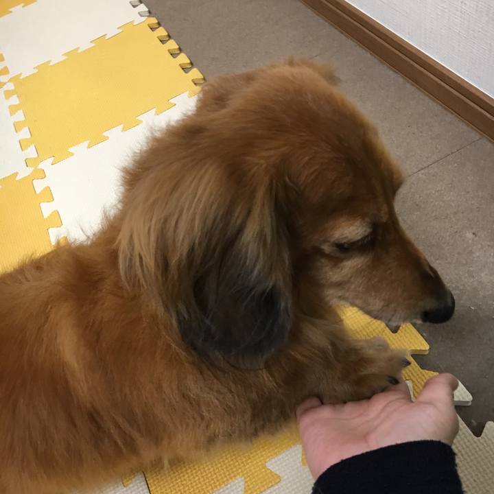 A28b0611 e630 4f1e b678 5b18cc47655a 1551620914313