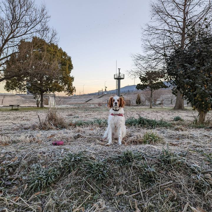 A28b1b8b f4c3 42ba be35 59ac1b52a557 1643112453360