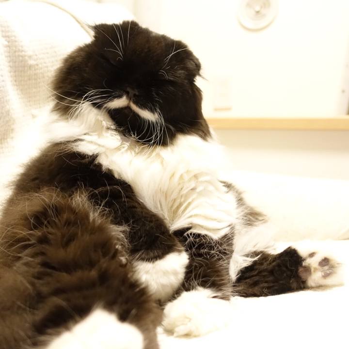 A28b297d 61b8 46f2 b3c8 5cbbd65fb0dc 1526185541061