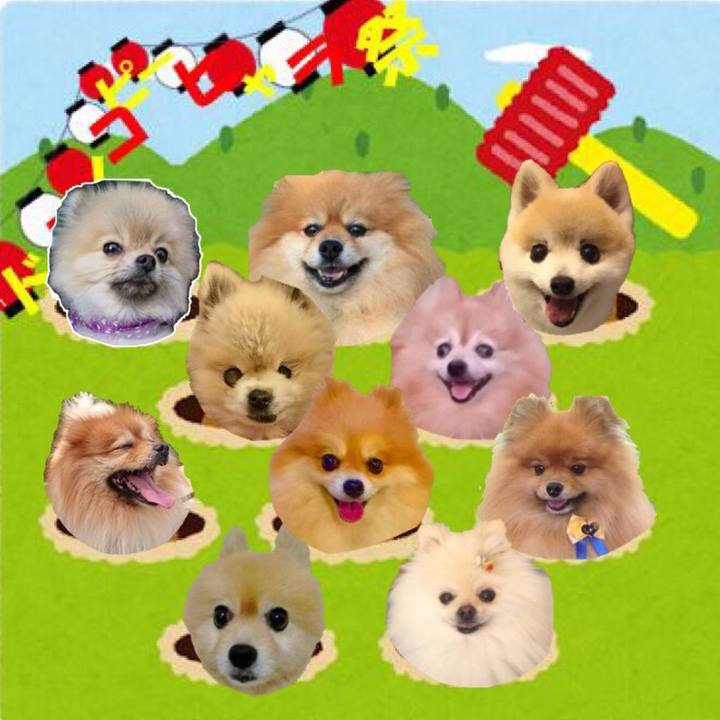 A28b7ed1 fe5b 4c11 99fc e1114b8c50ea 1565931947518