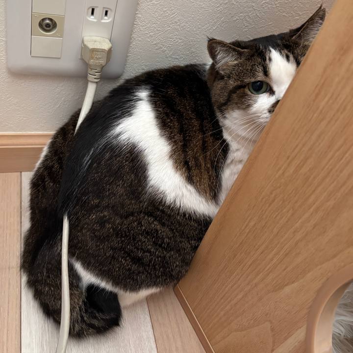 A28b8629 ac5d 4512 a371 70786a813509 1764383539304