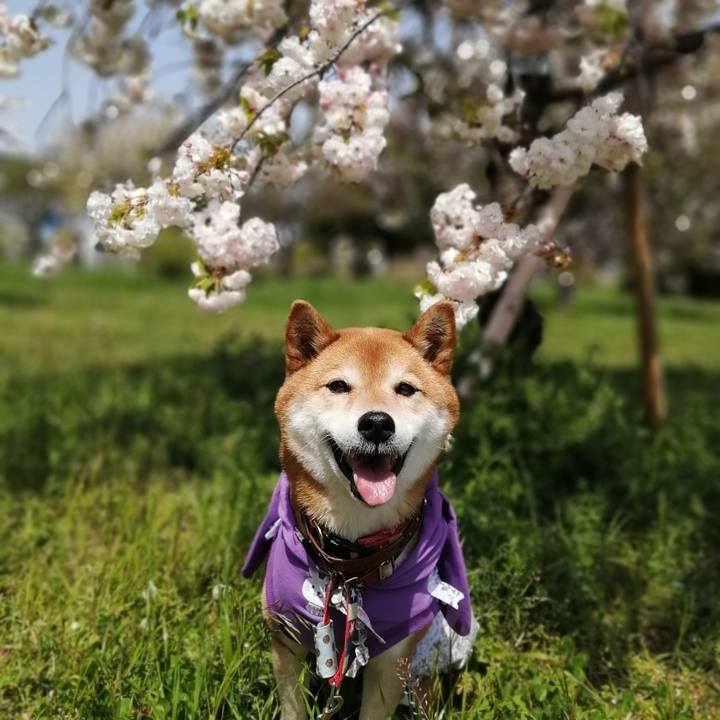 A28b96c4 2f59 4b95 96b9 abe67bf0b009 1681209303258