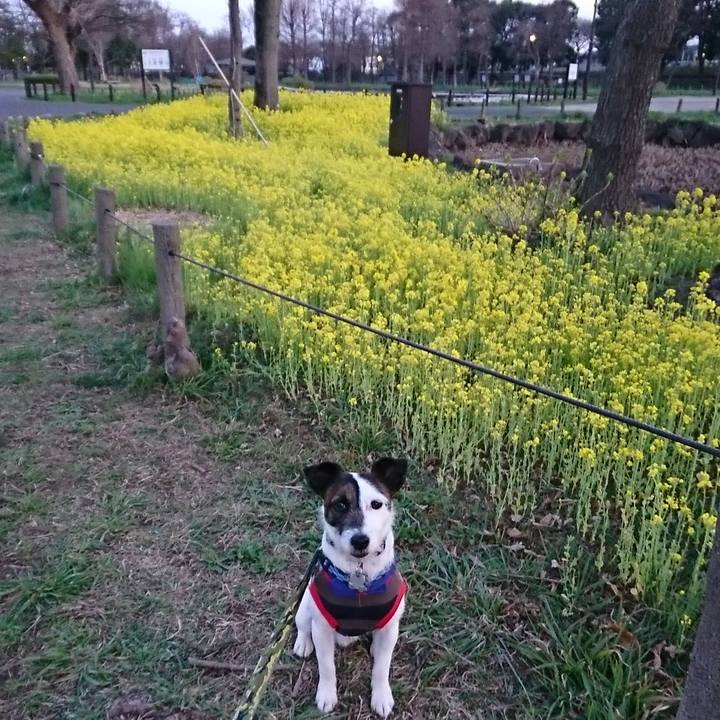 A28ba799 ecd1 4a10 b6ed 8d39bf65e0bf 1521276943060