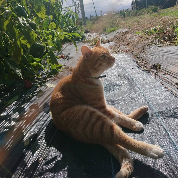 A28c54aa 6da1 465a bf83 f621fcc35e33 1603513417494