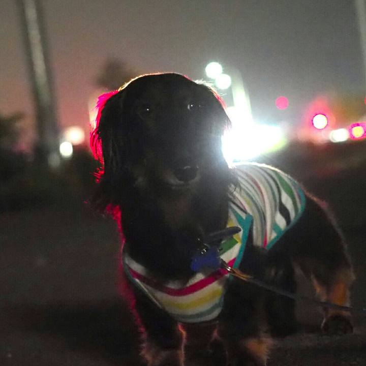 A28c57b2 d9a5 401a ac8a 5546c24c6b9f 1595168628589