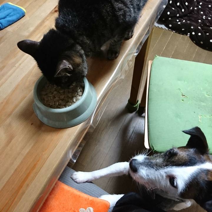 A28c5f45 85ed 465c a91d 53c8a564d1a4 1518785664099