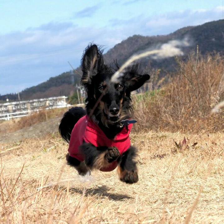 A28cd4a7 1fa4 468c b1cc 0b013bff5868 1546235432206