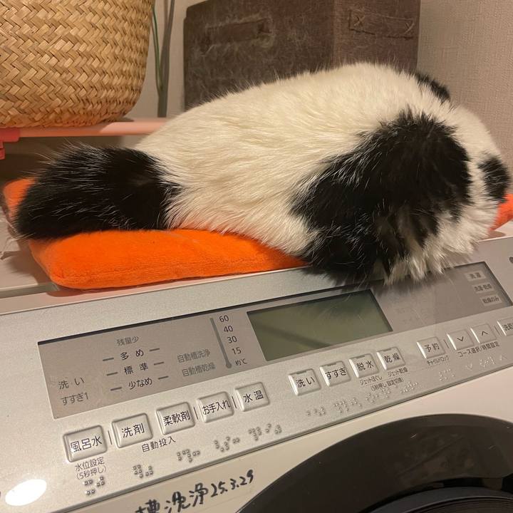 A28ce15b 8d30 4f98 b9ec b3e022d45ac3 1746142469652