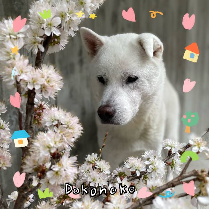 A28cf5d1 8e00 48c8 baa5 6021c3471459 1741161749151