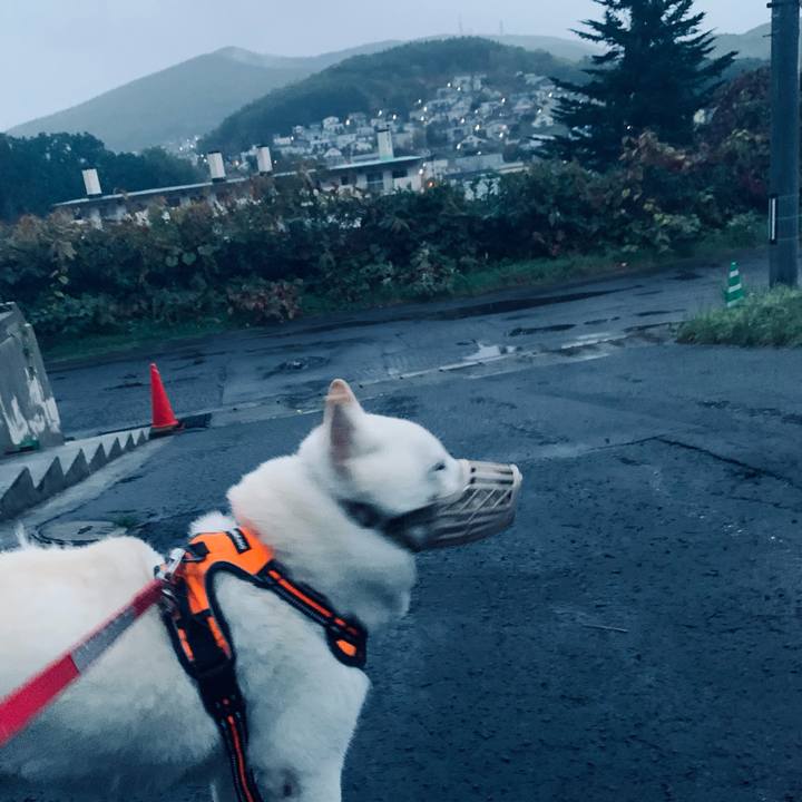 A28d0d20 8d58 4c18 997a 59881f50d566 1634245278391