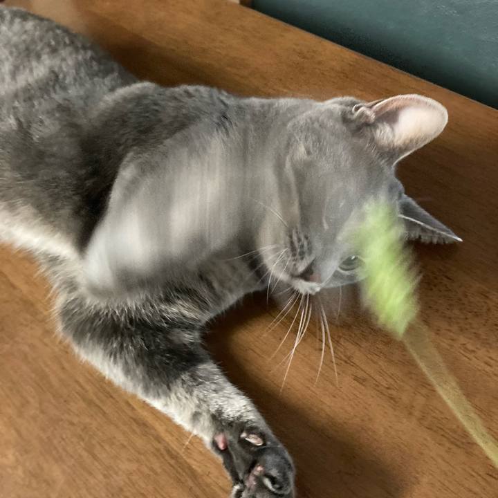 A28d4ca0 947d 404a a64b 6d9df0c40d74 1662523041389