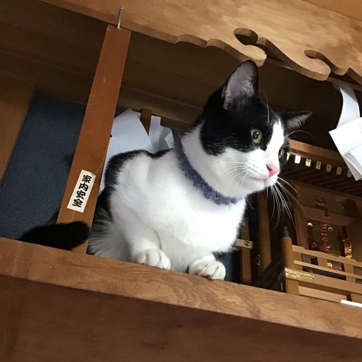 A28d5ec2 d6fd 4f8f 9a78 897ec9a6537c 1641253803941