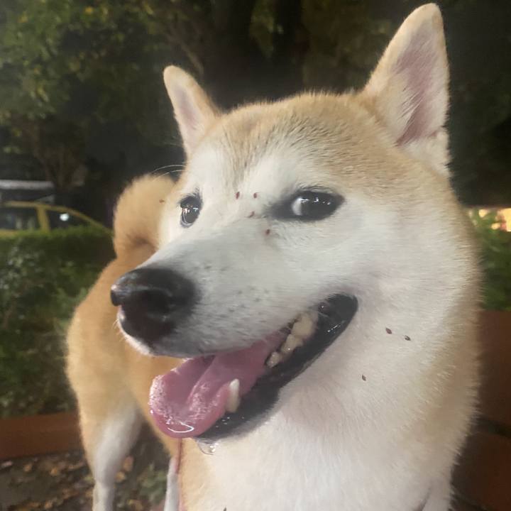 A28d8750 581c 4247 8817 514f13c8033d 1731200891648