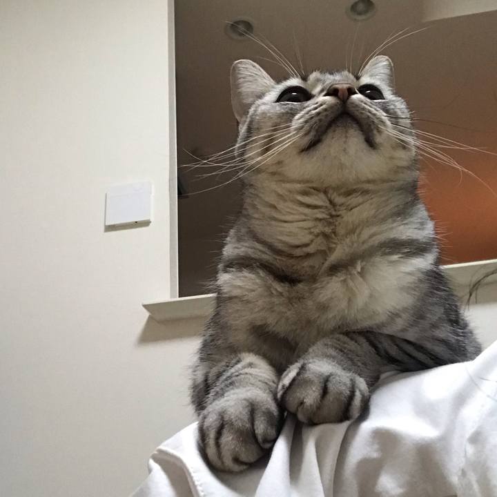 A28d8f0f 19a2 4b20 9bf5 4196146cabef 1543451012751