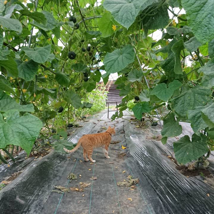 A28dcde6 a5ab 4ade 84ac 9f56eef15100 1563874840507