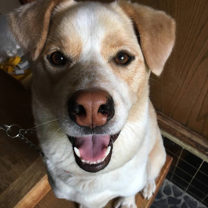 A28dee7b 28e4 4036 9160 0baf22a02a44 1526514239972