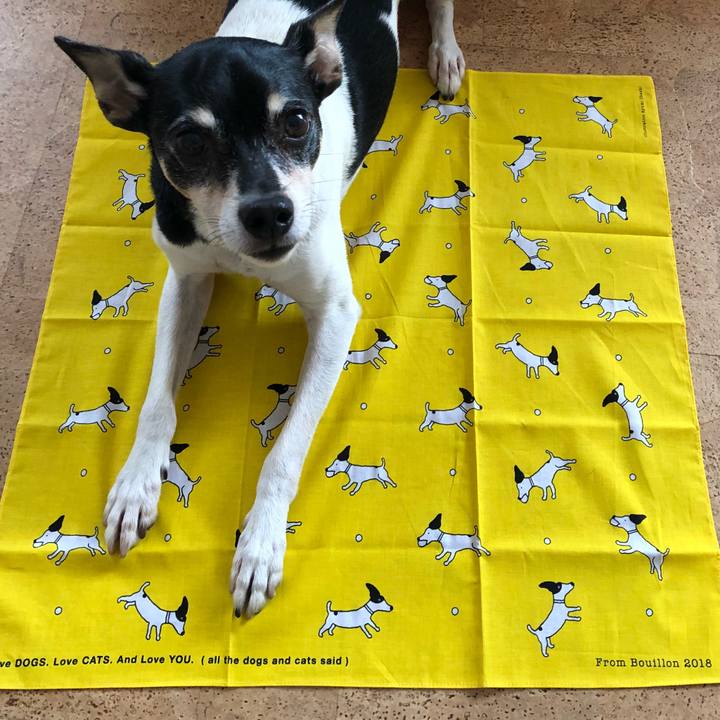 A28dfedc 73df 476c ad53 5ffb9a3d8db4 1524385759900