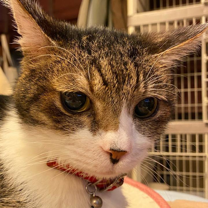 A28e0904 aba2 486c 8996 79c93be78fea 1604169480367