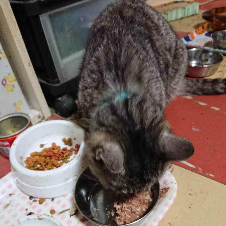 A28e1c87 0888 4957 895d f14b23e38576 1562446457010