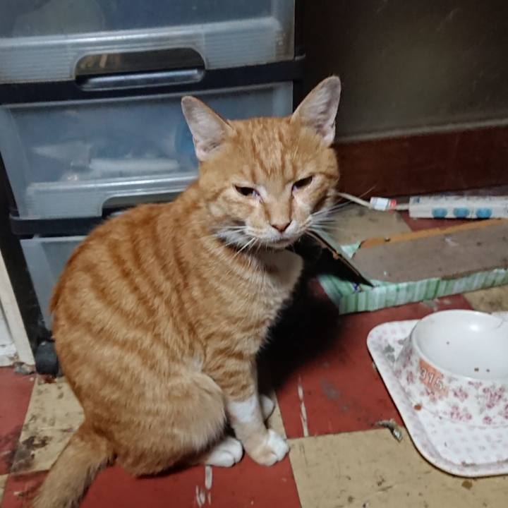 A28e1c9e 59a3 44fb b10d dec96e3a8c87 1567281919758