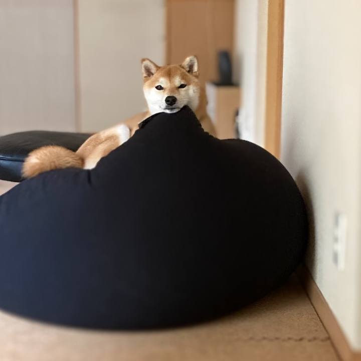 A28e1fcb 15c4 4cdd ae4a 8a87d70ea153 1650323112542