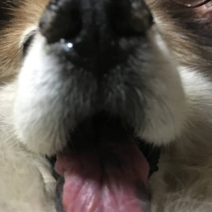 A28e58eb de06 42d2 b9ef cc280faa0e02 1576995074295