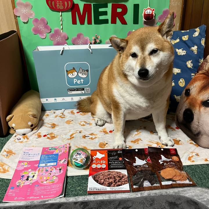 A28e5e77 f416 4217 97f8 429b10d15fbd 1649025164604