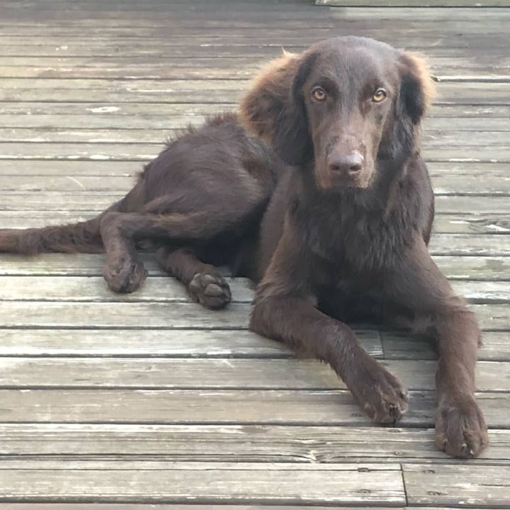 A28e6ef7 3b8a 479b 9b93 16122e90f5eb 1564217263712