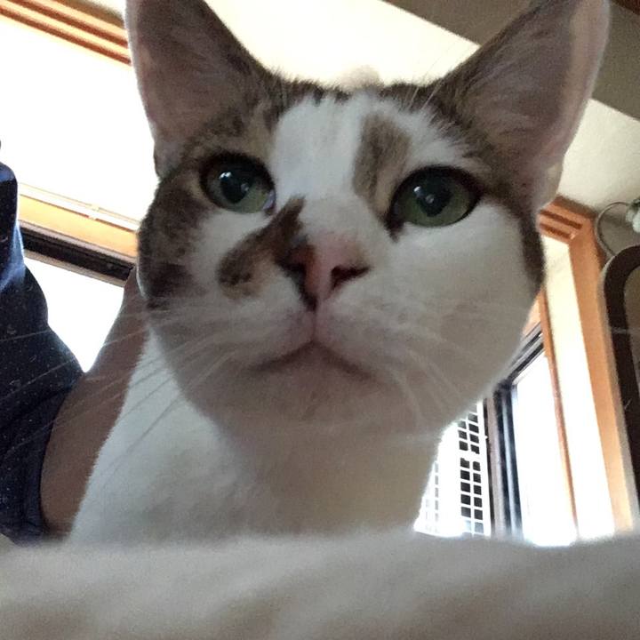 A28e7448 d045 4729 9859 7c6b0ac5cc18 1562316434027