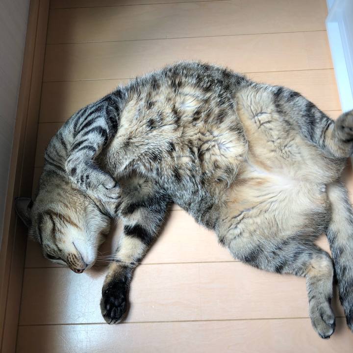 A28e7859 35f2 47bd 8b65 14afe3ee1b2e 1528382272530