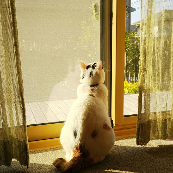 A28e8ea0 3f22 4ec4 9c9b e7b4672d5d9a 1508801473446