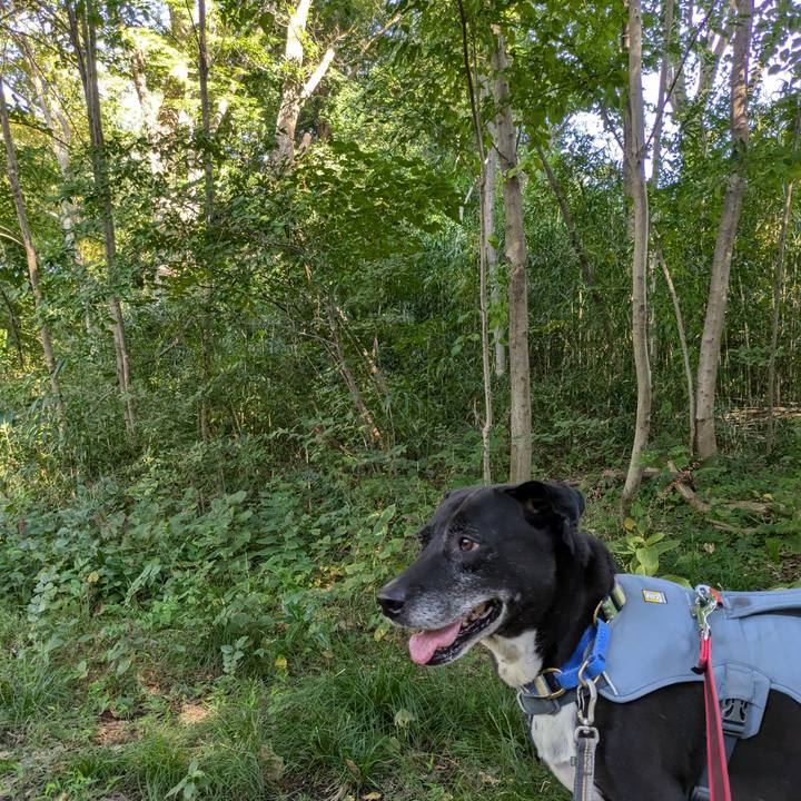 A28ec6ff 1f9b 40a6 a1eb 762e48249fa5 1728864301502