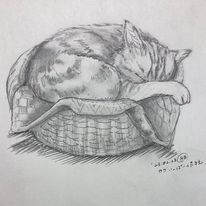 A28ee7dc 4297 434d 82fa b8ccdcd91374 1677323211147