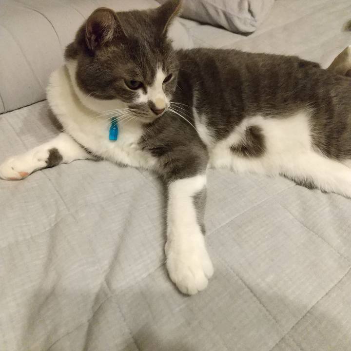 A28f0271 91da 4b5d bd1a 30b32fc68449 1625753053670